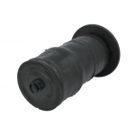 RKB101460MT Galinės pneumatinės pakabos oro pagalvė (RR P38)